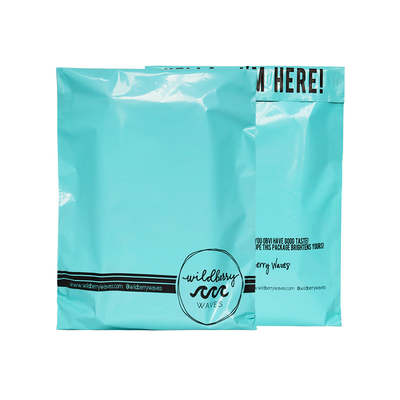 Biodegradable Shipping Bags Compostable Postage Bags OEM ODM