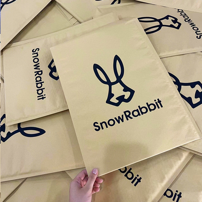 Self Sealing Bubble Envelope Bag Anti Drop Logistics Express Bag