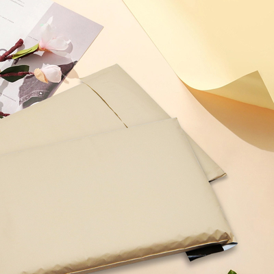D2W PE Custom Biodegradable Postage Bags For Shipping And Mailing