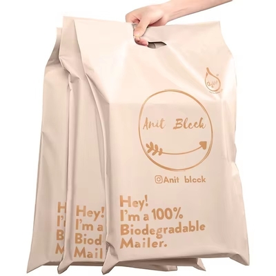 Self Adhesive PE Biodegradable Mail Package Bag Custom Shipping Bags