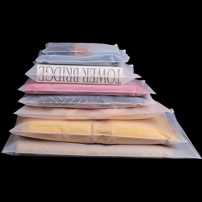 Customize Biodegradable Material Securely Sealed Clear Waterproof Zipper Pouch