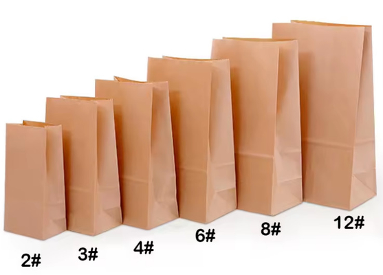 Recyclable Kraft Paper Biodegradable Food Packaging Bags