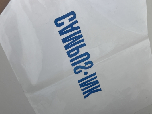 Custom Garment Zipper Bag Frosted Plastic Packaging Bag Ziplock Bag Clothes