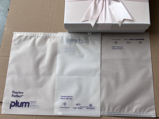 Shoes Clothing Travel Custom Frosted Zipper Bags With Zipper Closure