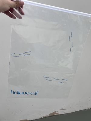 Custom Biodegradable Transparent Slider Lock Frosted Zipper Packaging Bags