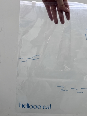 Custom Biodegradable Transparent Slider Lock Frosted Zipper Packaging Bags