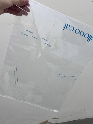 Custom Biodegradable Transparent Slider Lock Frosted Zipper Packaging Bags